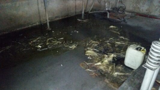 Flooded Elevator Pit Flooded Elevator Pit